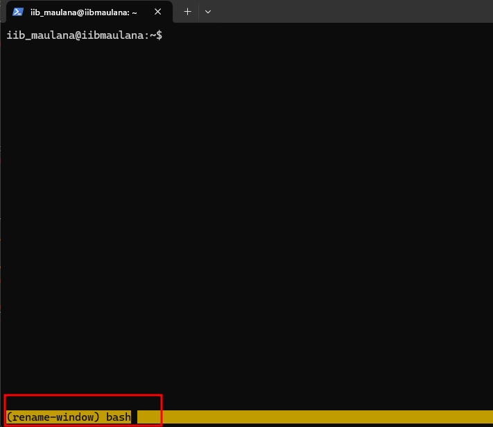 Rename panel process